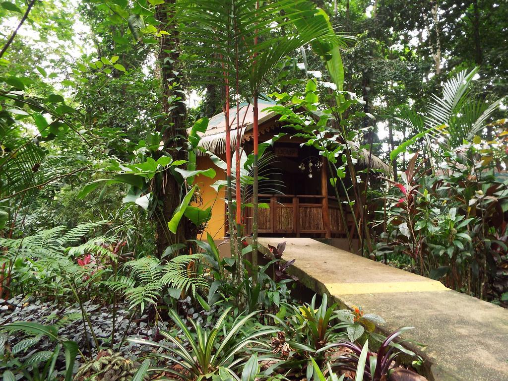 קאוויטה Korrigan Lodge חדר תמונה