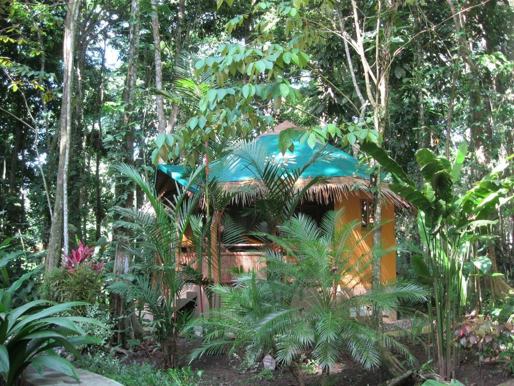 קאוויטה Korrigan Lodge חדר תמונה