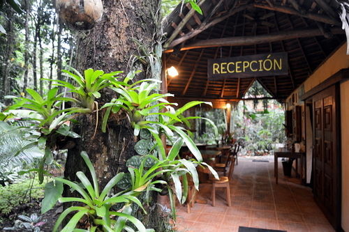 קאוויטה Korrigan Lodge מראה חיצוני תמונה