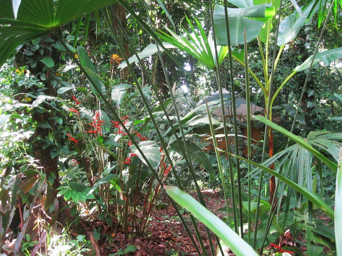 קאוויטה Korrigan Lodge חדר תמונה